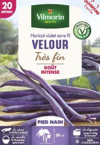 Haricot Nain Violet Velour - 20 m